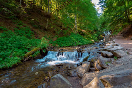 mountain river in the forest. fresh water stream from waterfall. beautiful nature background. wonderful summer landscape in the morningの写真素材