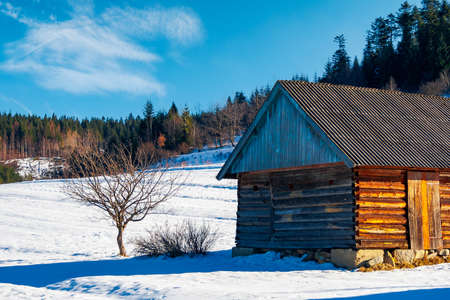 abandoned barn in Carpathian mountains. beautiful sunny winter weatherのeditorial素材