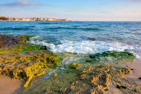 sandy beach with rocks. sunny morning in the resort town. wave brings seaweed on the stones on the...
