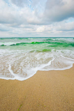 green sea waves beneath a grey sky. tide rolling on the beach. empty calm scenery. loneliness conceptの写真素材