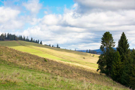 grassy meadow on a sunny day in mountains. beautiful countryside landscape in dappled light. sky...
