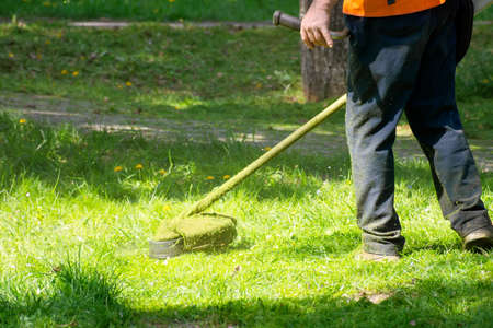 grass care with brush cutter. working with professional grade garden tool in the park. using trimmer...