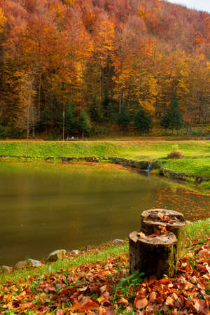small lake in autumn park. forest on the hills in fall colors. green grass on the shore. beautiful nature scenery on a sunny dayの写真素材