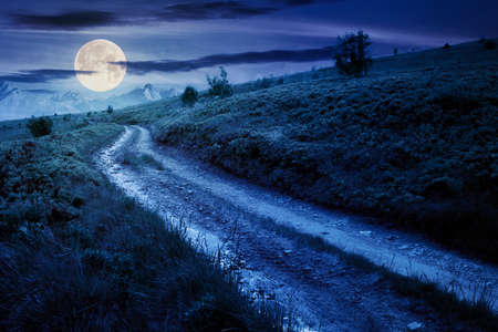 mountain road through grassy meadow at night. wonderful summer adventure in full moon light. clouds on the blue skyの写真素材