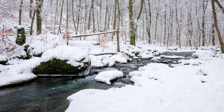 water stream in the winter forest. trees and shore covered in snow