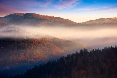 rolling hills in fog at sunrise. beautiful mountain landscape in autumn season. clouds on the...