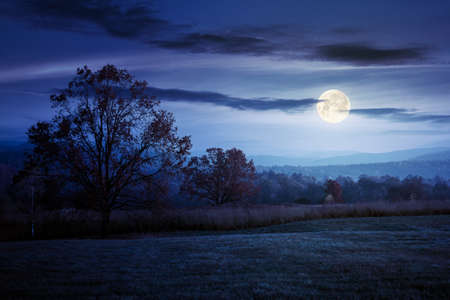 gorgeous countryside at dawn in autumn at night. trees in colorful foliage on the grassy field in full moon light. mountains in the distanceの写真素材