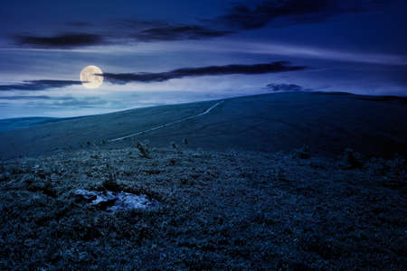 travel carpathian mountains in summer at night. road through green grassy meadows in the distance in full moon light. idyllic landscape with clouds on the blue sky.の写真素材