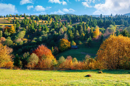 autumnal rural landscape in mountains. grass on the hill, trees in colorful foliage. beautiful...