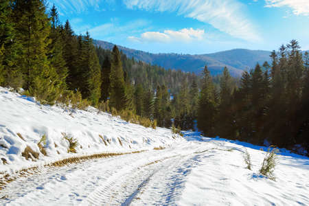 carpathian countryside on a sunny winter day. beautiful mountainous rural landscape. road through snow covered meadow among spruce forest on the hillの写真素材