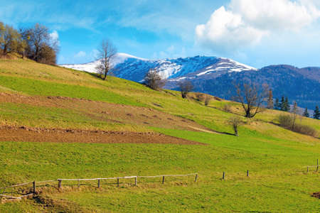 mountainous rural landscape in springtime. fields and trees on rolling hills in green grass. snow on...