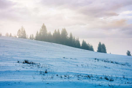 blizzard in mountains. magic scenery with clouds and fog on a sunny winter morning. trees in mist on a snow covered meadow. cold weatherの写真素材