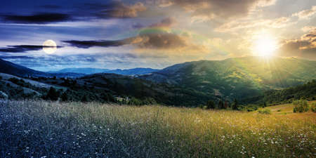 day and night time change concept above rural landscape with blooming grassy meadow. beautiful...