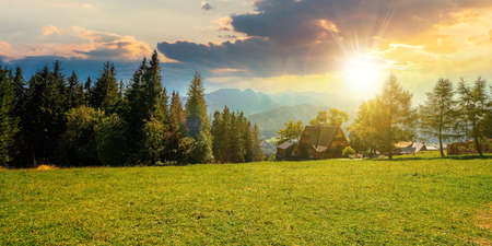 rural landscape in tatra mountains at sunset. spruce trees on the green grassy meadow of gubalowka range. beautiful nature scenery in evening light. clouds above the distant ridgeの写真素材