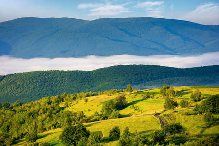 rural landscape in the morning. mist in the distant valley. trees and fields on the hill in morning...