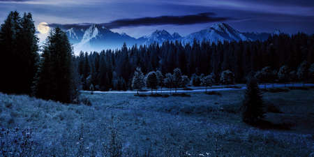 composite mountain landscape in summer at night. spruce forest down in the valley in full moon light. high peaks of rocky ridge in the distanceの写真素材