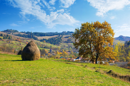 tree and haystack in fall foliage on the hill. autumnal rural scenery on a sunny day. village in the distant valleyの写真素材
