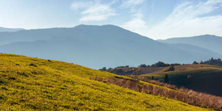 mountainous countryside landscape in autumn. grassy meadows and trees in colorful foliage on hills rolling in to the distant ridge. sunny afternoon weatherの写真素材