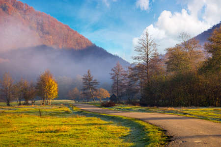 countryside road through rural valley. beautiful mountain landscape on a foggy morning. tree on the...