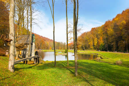autumn scenery in the park. trees in fall foliage. beautiful landscape in mountains on a sunny day