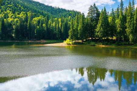 mountain lake in summer. forest reflecting on the water surface. wonderful nature scenery on a bright sunny day with fluffy clouds on the skyの写真素材