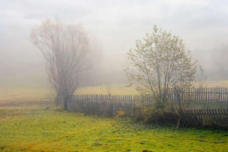 wooden fence on the field. rural landscape on a foggy morning in autumn. misty weather with overcast sky. trees in colorful foliage.の写真素材