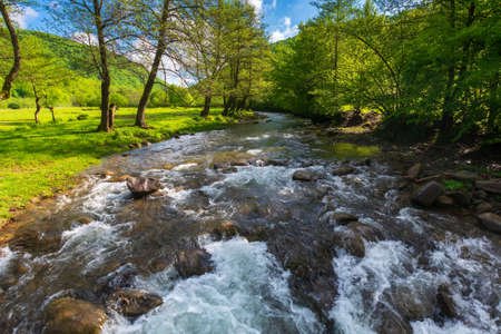 mountain river runs through the green valley. water flows along the shore with trees and grassy meadow. relaxing summer nature background in morning light. sunny scenery with clouds on the blue skyの写真素材