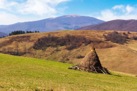 carpathian rural landscape in early spring. haystack on the grassy hill, village in the valley, peak...