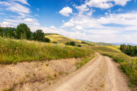 rural road through grassy meadows. wonderful countryside landscape with rolling hills beneath a gorgeous sky with clouds on a summer eveningの写真素材