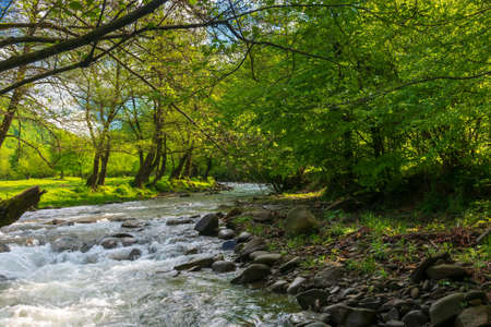 source of Turiya river in spring. beautiful nature landscape in the valley. countryside scenery with...