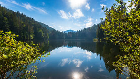 tranquil landscape with lake in summer. forest reflection in the calm water. scenic travel...