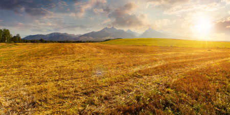 beautiful countryside landscape at sunset. idyllic rural scenery with, fields in summer in evening...