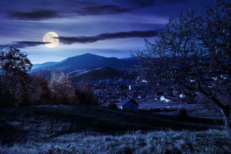 carpathian rural landscape in autumn at night. village in the valley at the foot of the mountain. beautiful countryside scenery in full moon light. trees in fall foliage on the grassy hillsの写真素材