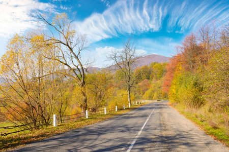 old mountain pass in fall season. countryside road trip on a sunny october forenoon. forested hills in colorful foliageの写真素材