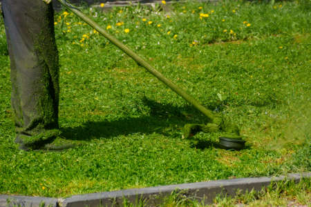 grass maintenance in the park. cutting weeds on a sunny day. professional lawn care service