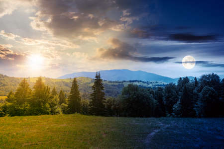 coniferous forest on the hill at daybreak. day and night time change concept. green summer nature scenery in carpathian mountains with sun and moon. sunny weather with clouds above the distant ridgeの写真素材