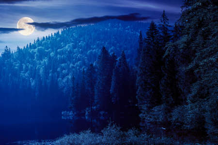 wild lake among the coniferous forest at night. beautiful nature landscape in carpathian mountains. summer weather with dark sky in full moon light. mysterious placeの写真素材