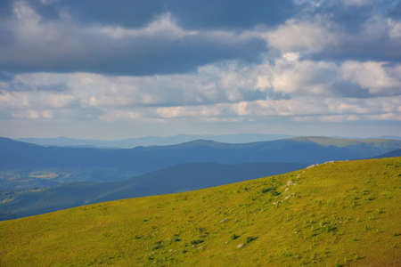 mountainous countryside nature scenery in summer. beautiful views of carpathian landscape on a sunny afternoonの写真素材