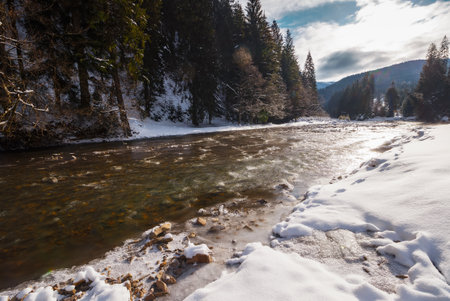 tereblya river in winter. snow covered shore with coniferous forest on the shore. mountains beneath a cloudy sky on a frosty morning in the distance. carpathian vacations in white seasonの写真素材