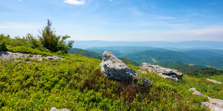 mountain scenery in summer. tree and stones on the grassy hill. sunny forenoon. view in to the distant valley. tourism and vacation seasonの写真素材