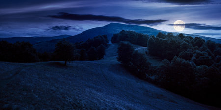 alpine meadows at night in summer. beech forest on the hill in full moon light. mountain ridge in the distance beneath a blue sky with fluffy cloudsの写真素材