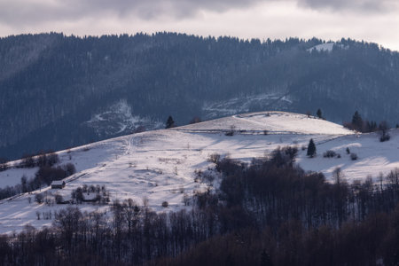 snow covered hills with trees. sunny winter afternoon in mountainous carpathian countrysideの写真素材