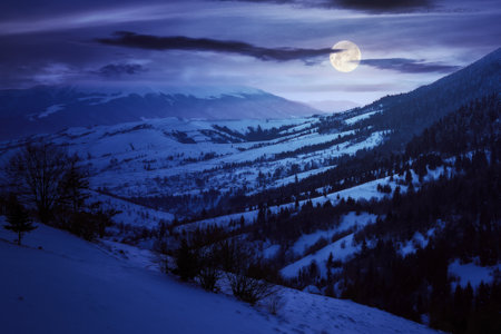 carpathian rural landscape in winter at night. snow covered hills in full moon light. scenery with krasna ridge in the distance. synevir village in the valleyの写真素材