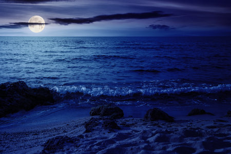 summer vacation background at the sea. clear water and sandy beach in full moon light. relax and recreation season at nightの写真素材