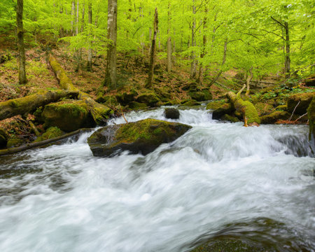 river in the park among boulders. outdoor nature scenery in springの写真素材