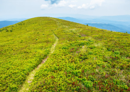 hiking trail through green hillside. vast green meadows in mountainous landscape. outdoor summer vacationsの写真素材