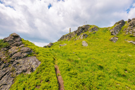 rocky formations on the steep grassy slopes of pikui mountain. nature scenery of ukrainian carpathians on a sunny summer day. blue sky with fluffy cloudsの写真素材