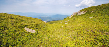 countryside scenery with meadow in mountains. summer nature scenery. view in to the distant rural valleyの写真素材