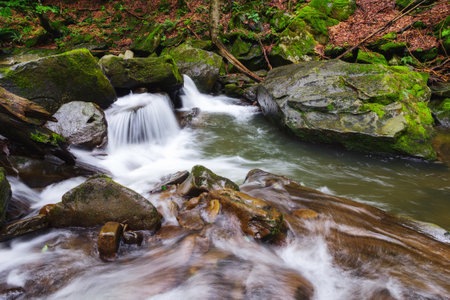 moss covered boulders in the water stream. tranquil nature landscape in the woodsの写真素材