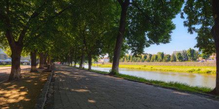 cityscape with river in morning light. beautiful scenery of old town riverside. linden alley in full blossomの写真素材